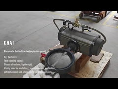 Πνευματική βαλβίδα πεταλούδας (αποφλεγόμενη)