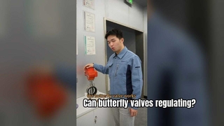 μπορεί μια μπάλα πεταλούδας να ελέγχει τη ροή-Αντιεκρηκτική βαλβίδα για επικίνδυνες περιοχές